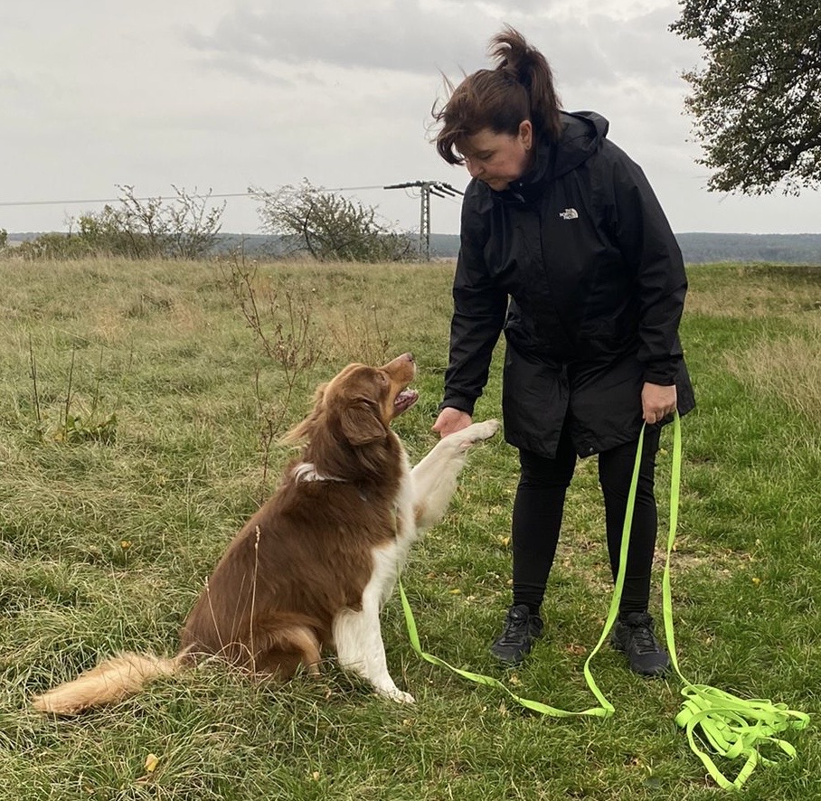 Trainingsunterstützung Hundeschule